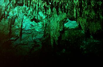 Cenote Ponderosa
