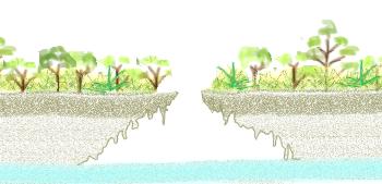 Fase di 'Cenote Giovane'