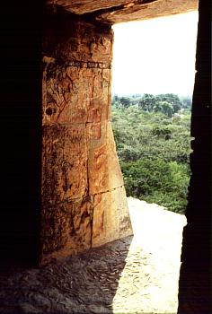 Area del Cenote Xtoloc