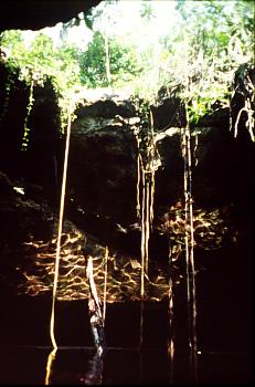 Cenote Giovane